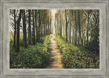 Load image into Gallery viewer, Enjoy The Beauty On Your Broken Path, Forest Walkway
