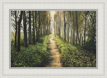 Load image into Gallery viewer, Enjoy The Beauty On Your Broken Path, Forest Walkway
