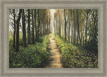 Load image into Gallery viewer, Enjoy The Beauty On Your Broken Path, Forest Walkway
