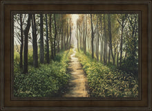 Load image into Gallery viewer, Enjoy The Beauty On Your Broken Path, Forest Walkway
