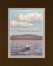Load image into Gallery viewer, Bloom Where You Are Planted
