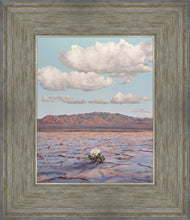 Load image into Gallery viewer, Bloom Where You Are Planted
