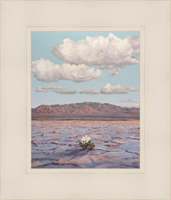 Load image into Gallery viewer, Bloom Where You Are Planted
