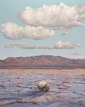 Load image into Gallery viewer, Bloom Where You Are Planted
