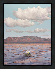 Load image into Gallery viewer, Bloom Where You Are Planted
