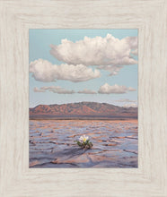 Load image into Gallery viewer, Bloom Where You Are Planted
