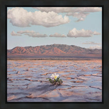 Load image into Gallery viewer, Bloom Where You Are Planted
