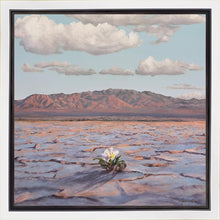 Load image into Gallery viewer, Bloom Where You Are Planted
