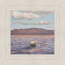 Load image into Gallery viewer, Bloom Where You Are Planted
