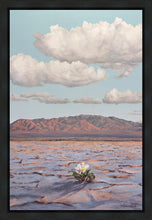 Load image into Gallery viewer, Bloom Where You Are Planted
