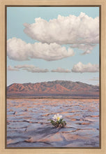 Load image into Gallery viewer, Bloom Where You Are Planted
