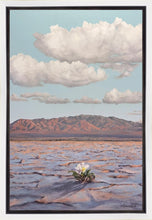 Load image into Gallery viewer, Bloom Where You Are Planted

