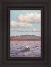 Load image into Gallery viewer, Bloom Where You Are Planted
