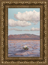 Load image into Gallery viewer, Bloom Where You Are Planted
