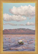 Load image into Gallery viewer, Bloom Where You Are Planted
