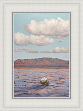 Load image into Gallery viewer, Bloom Where You Are Planted
