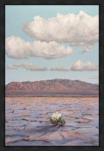 Load image into Gallery viewer, Bloom Where You Are Planted
