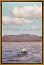 Load image into Gallery viewer, Bloom Where You Are Planted
