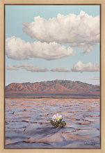 Load image into Gallery viewer, Bloom Where You Are Planted
