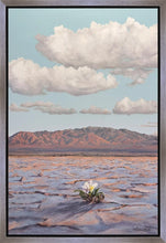 Load image into Gallery viewer, Bloom Where You Are Planted
