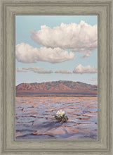 Load image into Gallery viewer, Bloom Where You Are Planted
