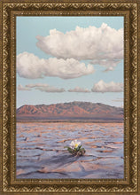 Load image into Gallery viewer, Bloom Where You Are Planted
