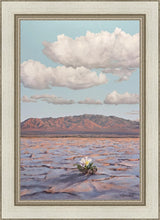 Load image into Gallery viewer, Bloom Where You Are Planted
