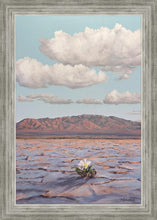 Load image into Gallery viewer, Bloom Where You Are Planted
