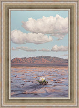 Load image into Gallery viewer, Bloom Where You Are Planted
