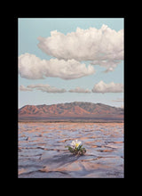 Load image into Gallery viewer, Bloom Where You Are Planted
