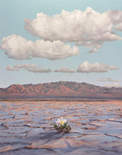 Load image into Gallery viewer, Bloom Where You Are Planted
