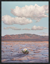 Load image into Gallery viewer, Bloom Where You Are Planted
