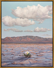 Load image into Gallery viewer, Bloom Where You Are Planted
