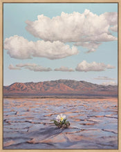 Load image into Gallery viewer, Bloom Where You Are Planted
