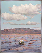 Load image into Gallery viewer, Bloom Where You Are Planted
