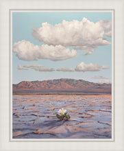 Load image into Gallery viewer, Bloom Where You Are Planted
