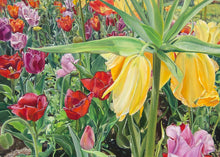 Load image into Gallery viewer, Carousel Tulips
