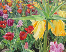Load image into Gallery viewer, Carousel Tulips
