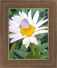 Load image into Gallery viewer, The Daisy and The Butterfly
