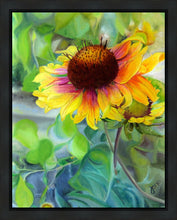 Load image into Gallery viewer, Indian Blanket Flower
