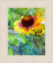 Load image into Gallery viewer, Indian Blanket Flower
