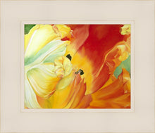 Load image into Gallery viewer, A Tulip for Fiona
