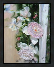 Load image into Gallery viewer, Harmony

