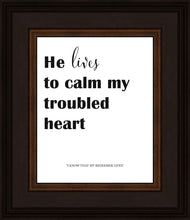 Load image into Gallery viewer, He Lives to Calm
