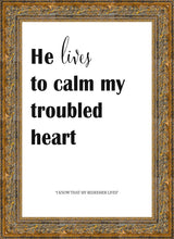 Load image into Gallery viewer, He Lives to Calm
