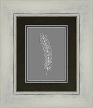 Load image into Gallery viewer, Minimalist Stem Gray

