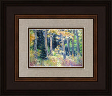 Load image into Gallery viewer, Joe's Canyon
