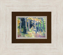 Load image into Gallery viewer, Joe's Canyon
