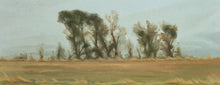 Load image into Gallery viewer, Trees
