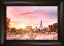 Load image into Gallery viewer, Sacramento Fire Of The Covenant

